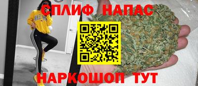 прущие грибы Новокубанск