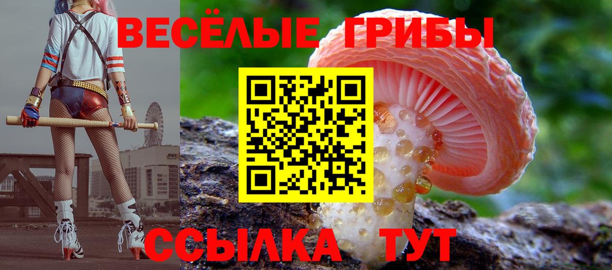 Ростов Великий  Псилоцибиновые грибы прущие грибы  Вход с VPN 